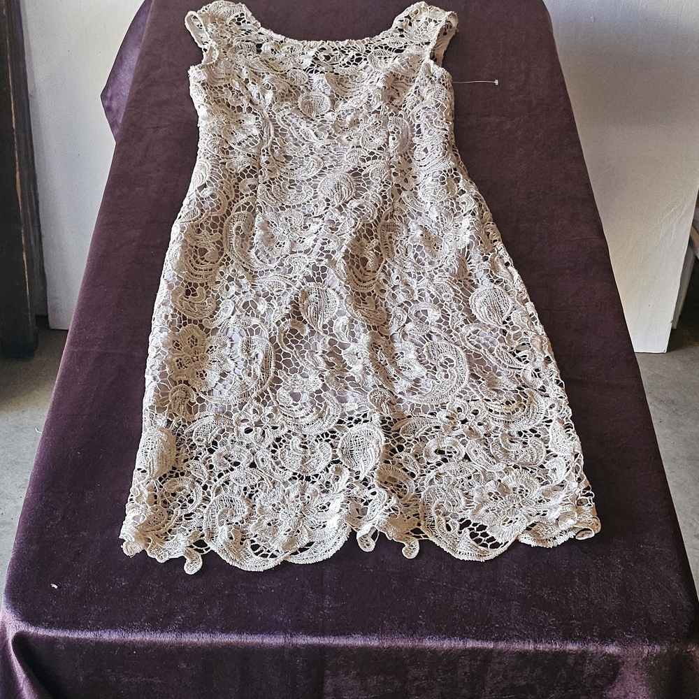 Alythea Taupe Lace Dress